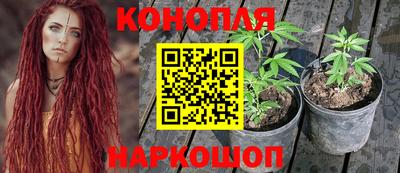 прущие крисы Гагарин