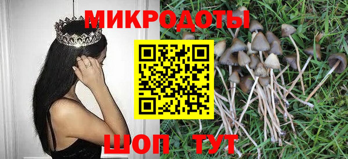 Галлюциногенные грибы Magic Shrooms Будённовск