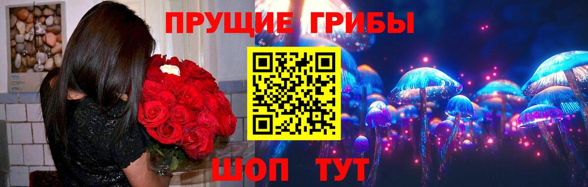 Будённовск  Галлюциногенные грибы мухоморы  Вход с VPN  Галлюциногенные грибы ЛСД 